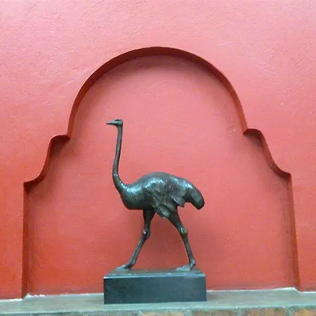 Hostel Red *