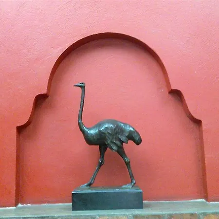Hostel Red *